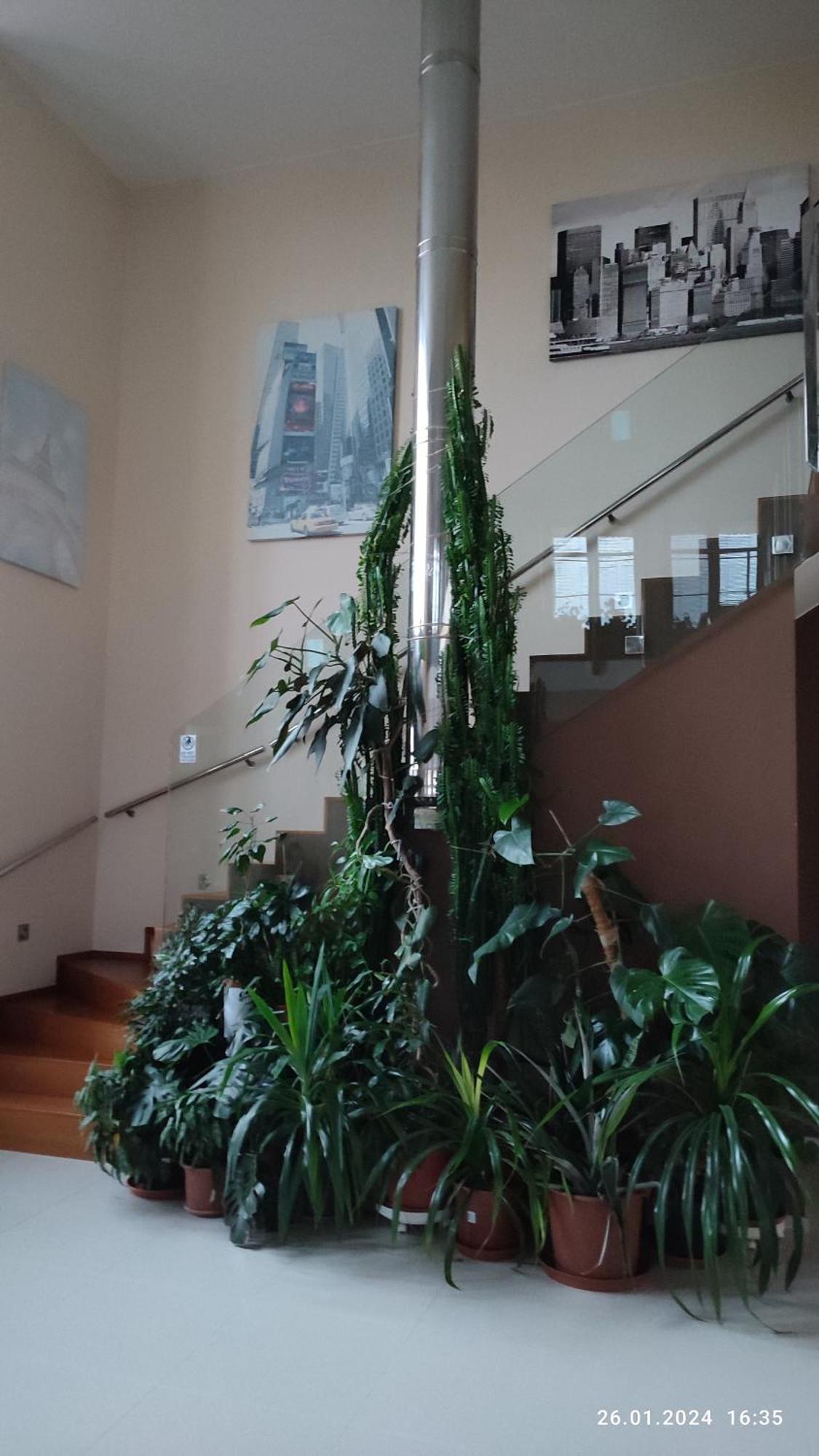 Villa Homestay Nad Helmrovkou Prága Kültér fotó