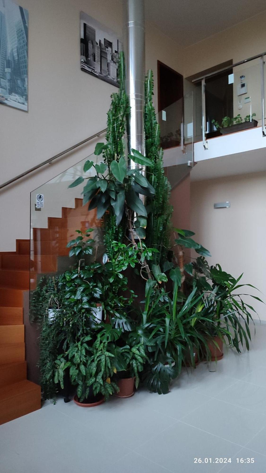 Villa Homestay Nad Helmrovkou Prága Kültér fotó