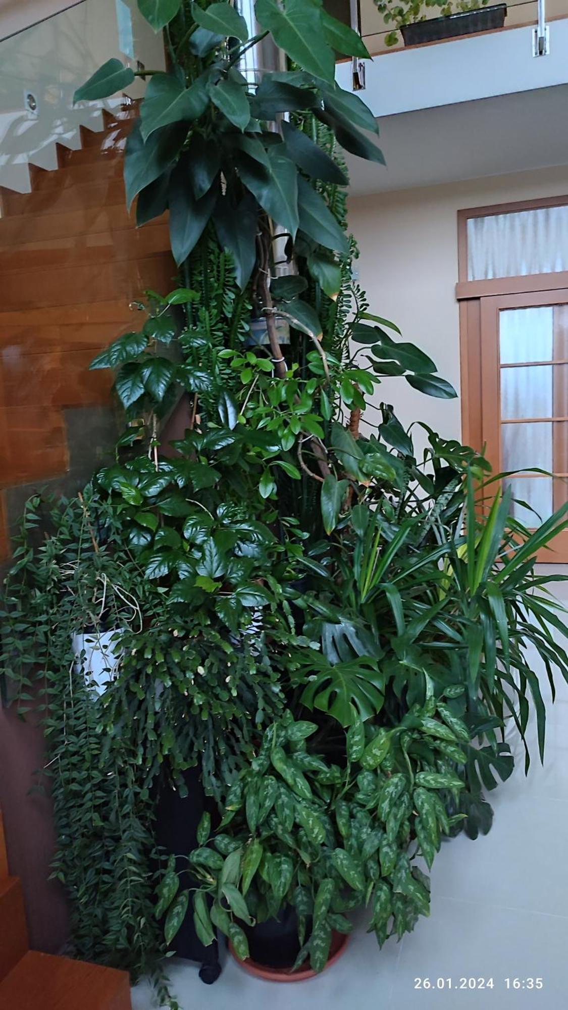 Villa Homestay Nad Helmrovkou Prága Kültér fotó