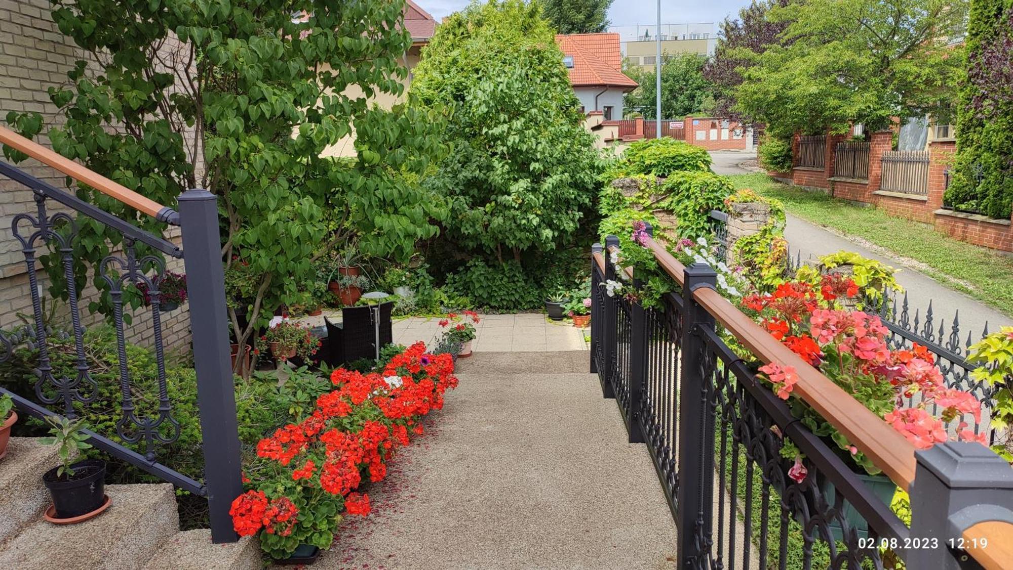 Villa Homestay Nad Helmrovkou Prága Kültér fotó